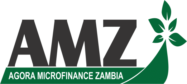Agora Microfinance Zambia (AMZ)